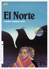 458_nortedvd_w100